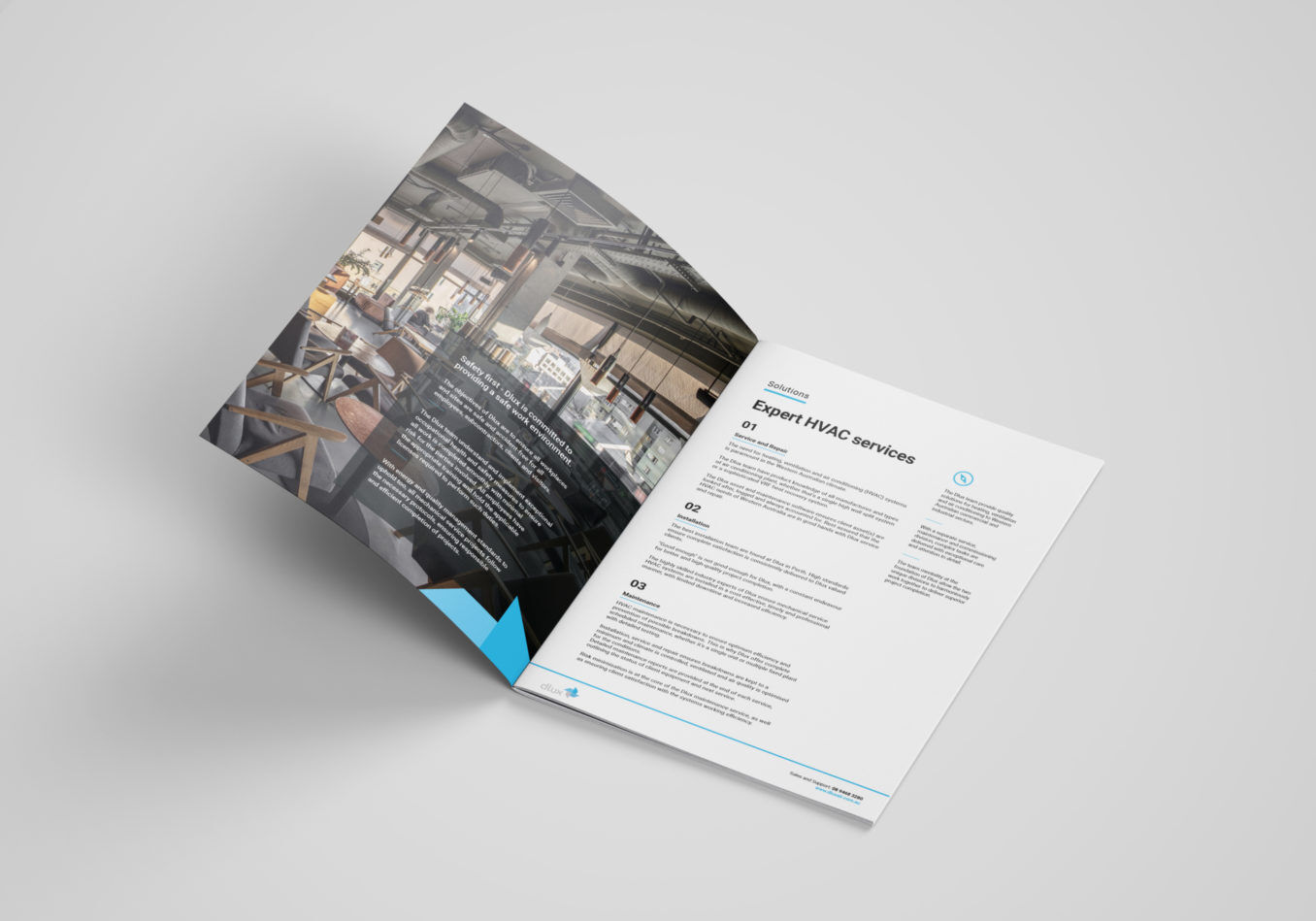 Dlux brochure1