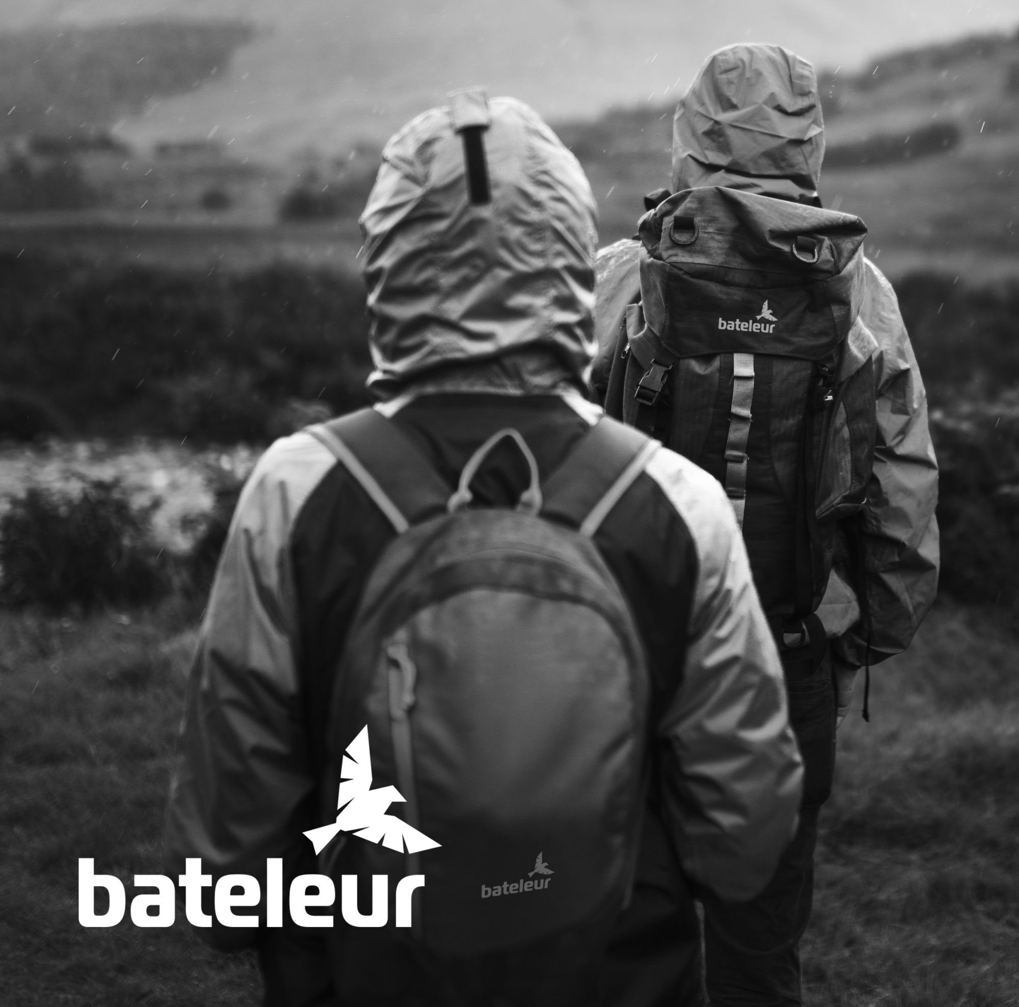 Bateleur back backpack